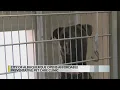 City of Albuquerque opens affordable pet care clinic
