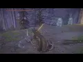 ELDEN RING Best place to farm rune arc