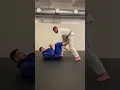 Download Lagu This is a nice deep dela riva sweep uses a lot🔥 🥋 📸 #bjj #bjjlifestyle #bjjlife #bjjgirls #bjj4life