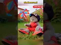 Download Lagu Ayah Bawa Kupu-Kupu 🦋✌️#kucingimut #catshorts #funny #kucinglucu #animasi #kucingabuabu