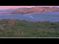 Download Lagu Royal Albatross ~ A Great Day For Hovering! Synchronized Flights SSTrig, SP \u0026 Neighbor Chicks 9.7.25