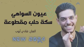 شادي أيوب سكة حلب مقطوعة مو طالع بإيدي إلا عيون السواهي رموش عينيكي الحلوين 