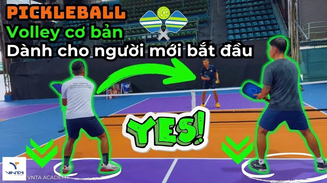 Outline Video Khóa Học Pickleball Volley Cơ Bản Dành Cho Người Mới Bắt Đầu Tập Chơi| VNTA Academy