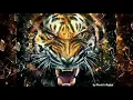 Survivor - Eye Of The Tiger (Metal Cover Remix) by Karl Anderson