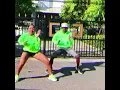 Fireboy DML- Chris Brown  Diana Official Visualizer feat Shenseea, Routine BG The Dancer @Blingcodex