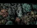 David Julyan - The Mountains
