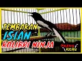 SUARA KACER GACOR ROLL RAPAT SPEED TEMBAKAN ISIAN KOLIBRI NINJA SOGON OTONG MAMPU JADI PANCINGAN