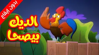 الديك بيصحى بدون إيقاع طيور بيبي Toyor Baby 