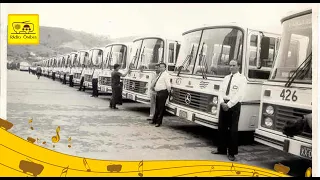 A história da Pássaro Marron. Parte 2