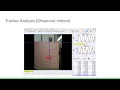 GT Physics Lab 4 Oscillations