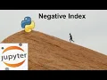 Negative Index