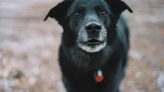 The New Camera – Baja or Bust 39