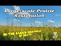 Prairie Restoration in the Middle of the Barren Corn-Ocean