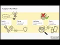 Core Principles of Integrating Ecosystem Protocols Forge College