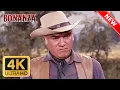 Download Lagu Bonanza 2025 | Part 509 | Western Series | FULL EPISODES | The Best Cowboy TV Series 2025