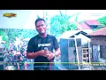 SAMSENG MUSIC - TEMAN - PETEL MAHOLTRA - KALIPUCANG KULON WELAHAN JEPARA