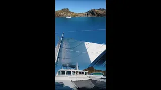 Live Your Sailing Dreams