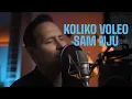 Lagu PEDJA JOVANOVIC - KOLIKO VOLEO SAM NJU