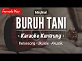 Download Lagu Buruh Tani (KARAOKE KENTRUNG) - Marjinal (Karaoke Akustik | Keroncong | Ukulele)