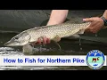 How to Fish for Northern Pike