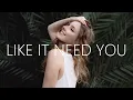 Download Lagu Culture Code \u0026 Elle Vee - Like I Need You (Lyrics)