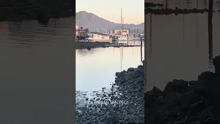 GOOD MORNING!! #Fyp #dream #sailing #doberman #vlog