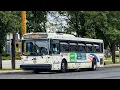 Buses around the New Jersey Transit Region