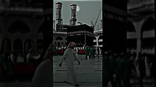 يرتوي بالحب قلبي  يرتوي بالحب قلبي