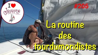 #205 La routine des tourdumondistes