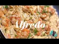 THE BEST HOMEMADE CREAMY SHRIMP ALFREDO RECIPE QUICK EASY WEEKNIGHT MEAL