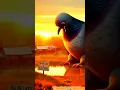 Download Lagu **The Flying Pigeon Bus in the Village – Heartbreaking Twist at the End! | Animated Short Story**
