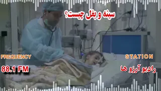 برنامه معلوماتی رادیویی موضوع برنامه سینه و بغل گرداننده برنامه قربان علی راسخ  برنامه معلوماتی رادیویی موضوع برنامه سینه و بغل گرداننده برنامه قربان علی راسخ