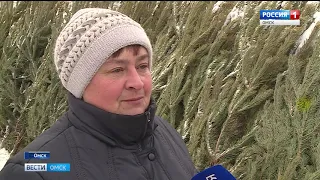 В Омске заработали первые ёлочные базары