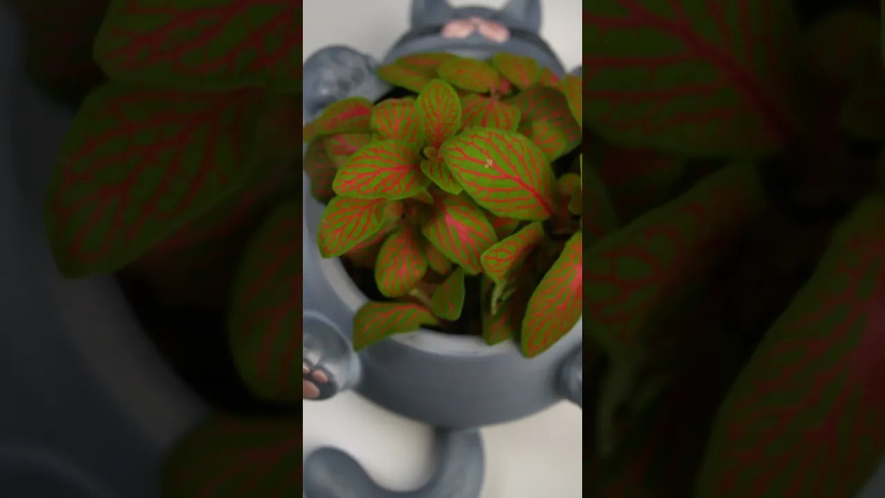 Chunky Cat Plant Pot