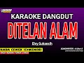 Download Lagu DITELAN ALAM KARAOKE DANGDUT - ELVY SUKAESIH