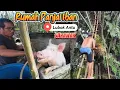 Download Lagu Iban Lubok Antu Longhouse | Vee, kippen, eenden en IJokbomen