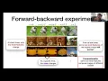 Antonio Sclocchi Hierarchical data structures through the lenses of diffusion models
