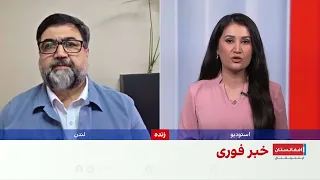 صمدی: طالبان اعتماد جامعه جهانی را از دست دادهاند