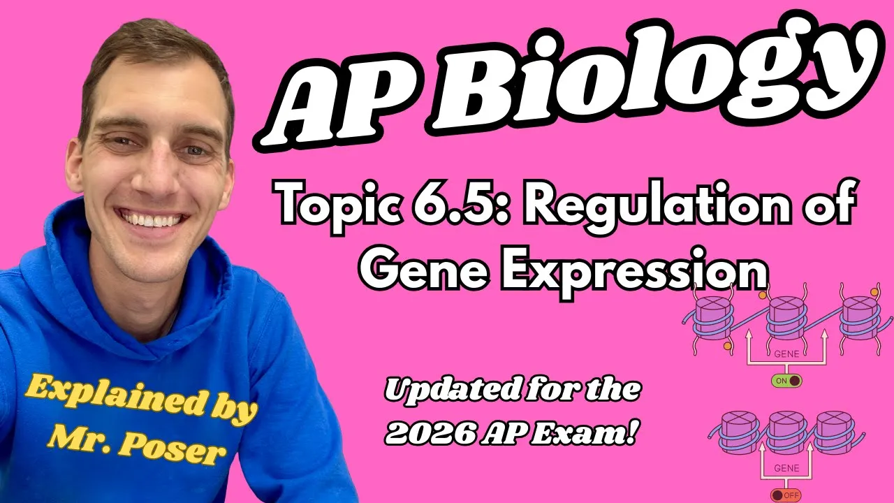 6.5 Regulation of Gene Expression - AP Biology (Updated 2025-2026)