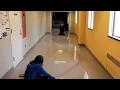 Big Standing Wave - Small Effort Arbor Scientific
