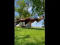 Download Lagu PETER VIGILANTE \u0026 MELINDA MELROSE tik tok 😱😳😲🤪🤣