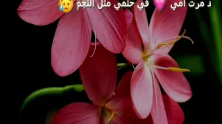 قد مرت أمي في حلمي مثل النجم  تصميمي  دندنها