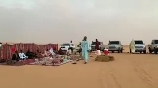 دزاغر ملوك الصحراء 