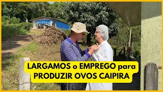 LARGAMOS o EMPREGO para CRIAR GALINHAS POEDEIRAS: capacidade para 2.750 em 5 galpões
