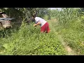 Download Lagu Berburu daun anti pahit ditepi sungai besar ini||merinding ada suara manggil\