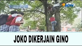 dari jendela smp joko dikerjain gino