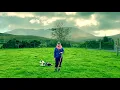 Training Zack Our Blue Merle Border Collie for Sheep Herding