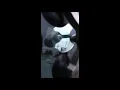 Windshield Repair Star Break in Queens New York