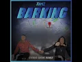 Barking (Stereo Luchs Remix)