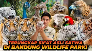 PERSONALITY SATWA2 YANG ADA DI BANDUNG WILDLIFE PARK! MENGENAL LEBIH DEKAT DENGAN SATWA2 DISINI!